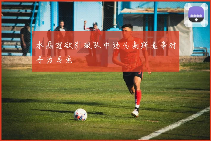 水晶宫欲引狼队中场戈麦斯竞争对手为马竞